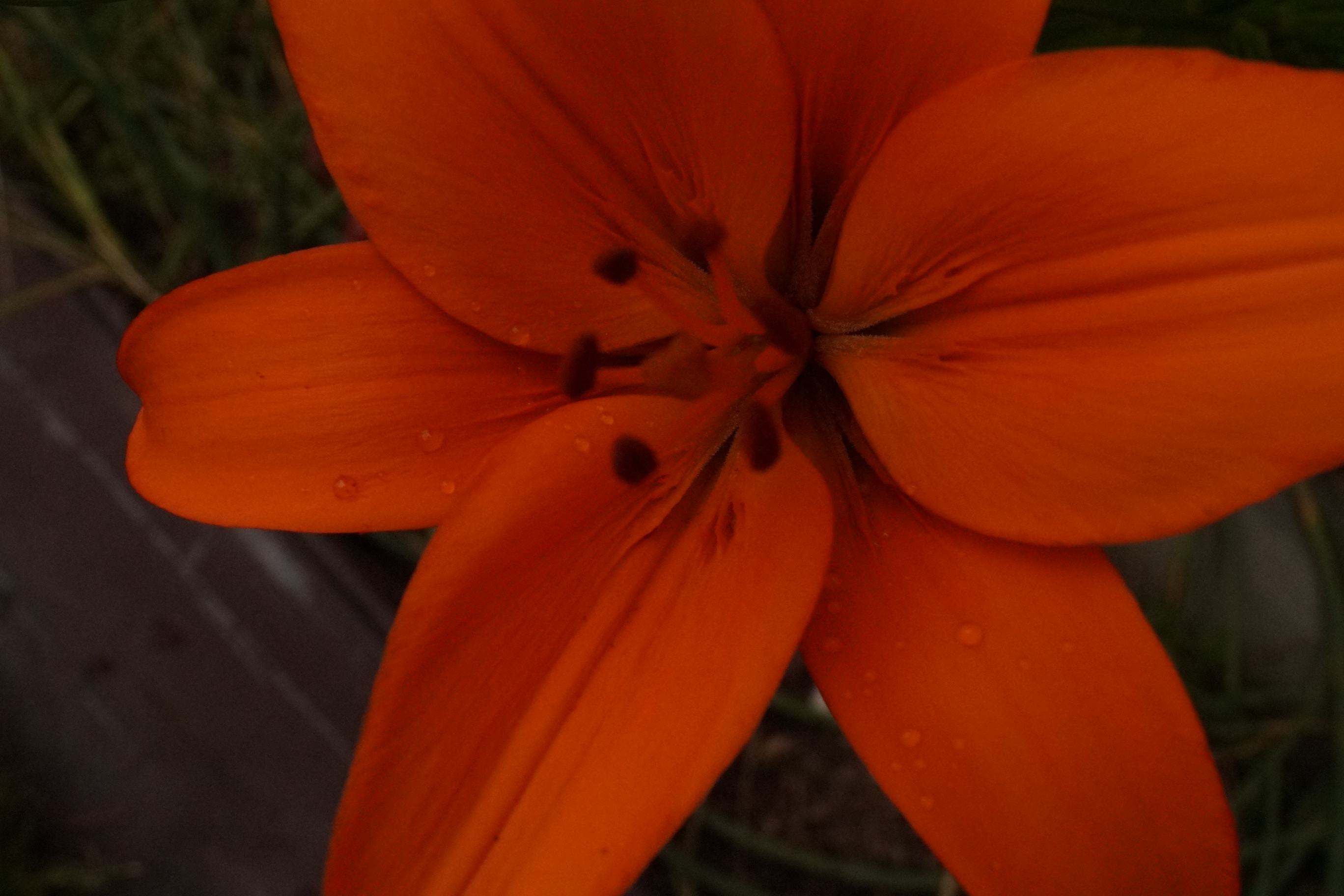 [Image: fh5rxrF.jpg]