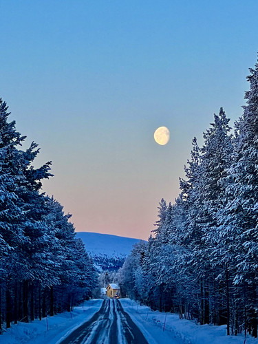 Pallas-Yllästunturi National Park..jpg
