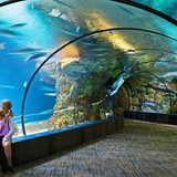 31fc69d10da013ae13e440aa7a03d5ba