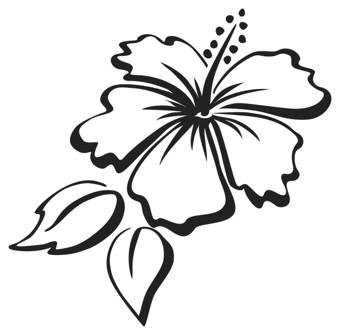 [Image: fhAYDJ4.png]