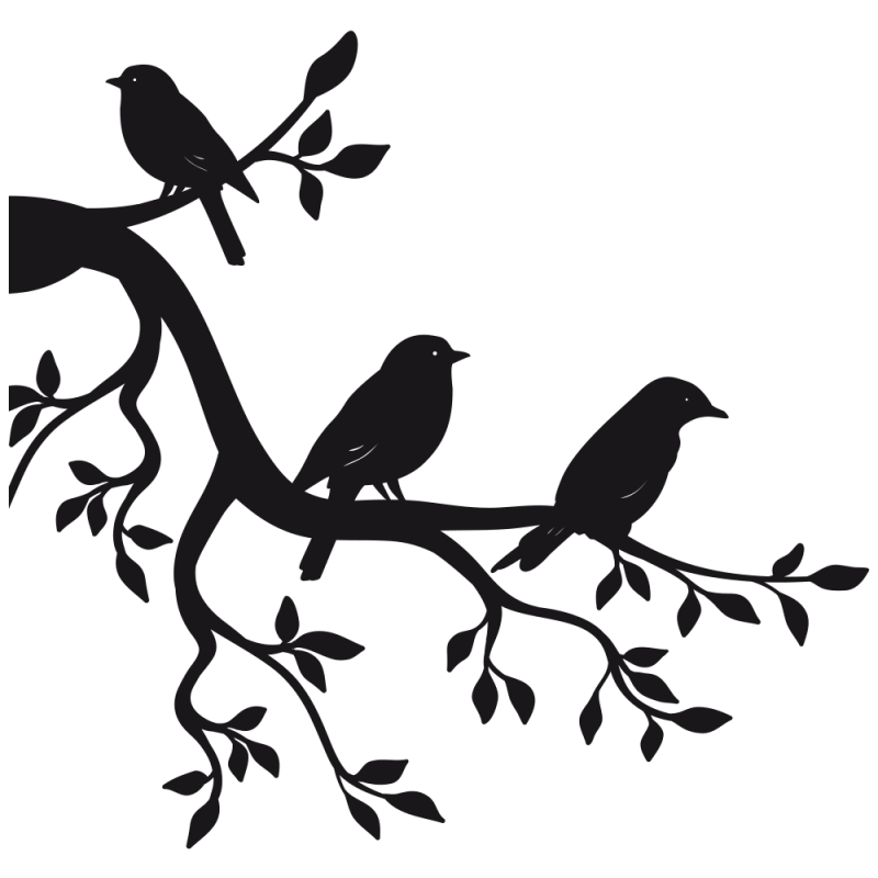 [Image: fhAa0Xt.png]