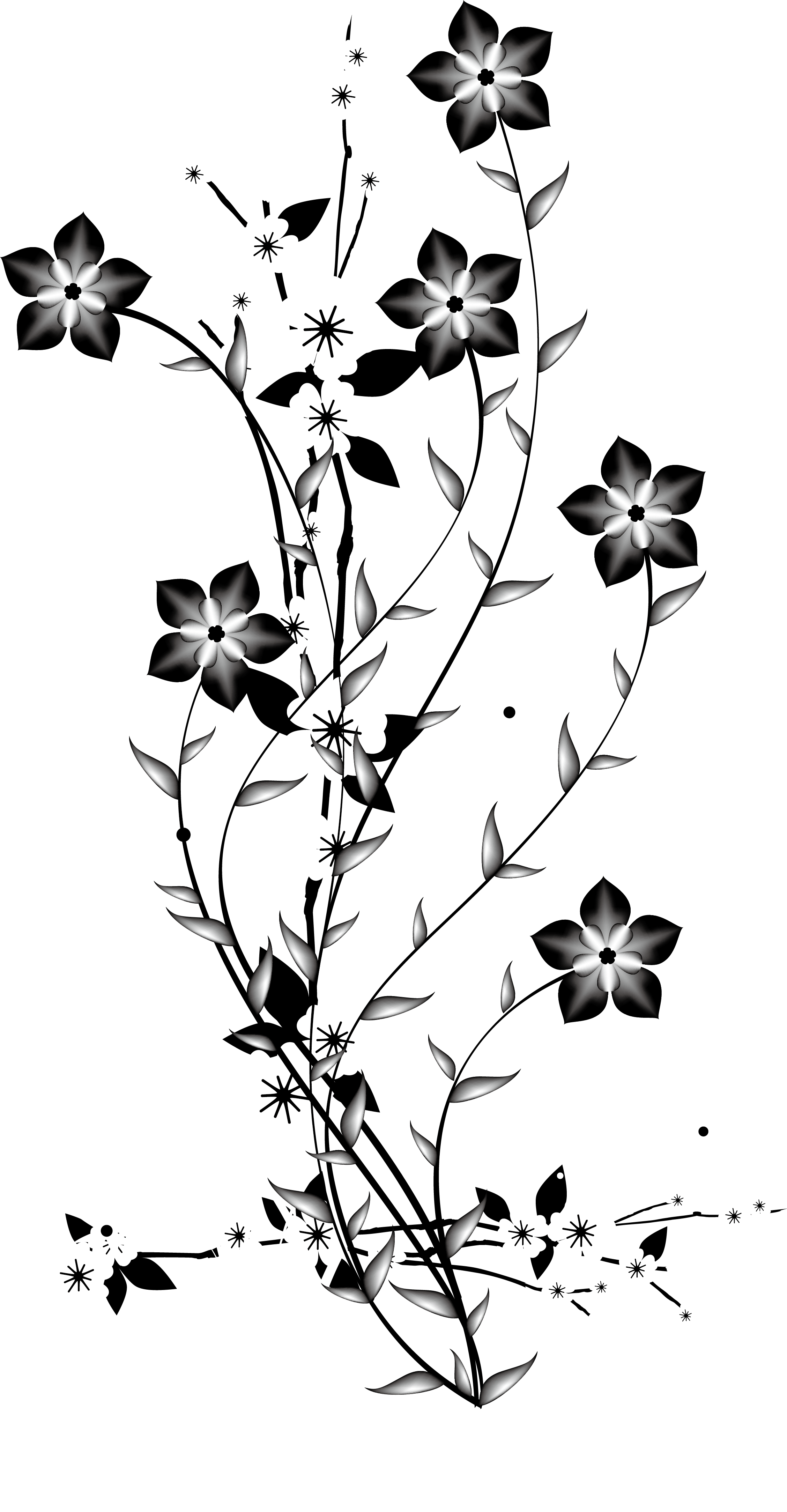 [Image: fhAaxX1.png]