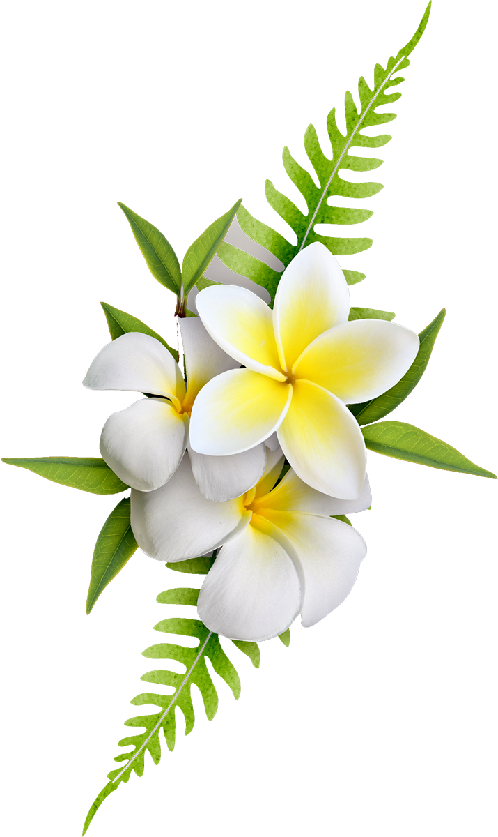 [Image: fhAcKCX.png]