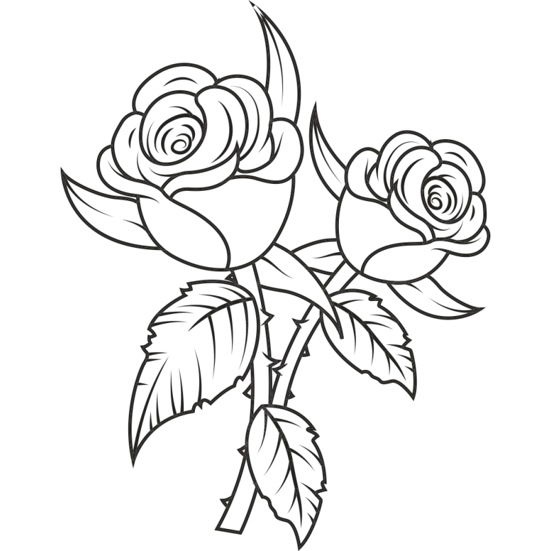 [Image: fhAcfGn.png]