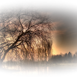 Png Doga Resimleri V100320181240 N156.png