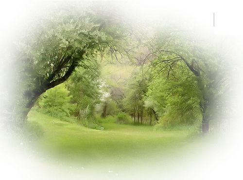 Png Doga Resimleri V100320181240 N172.png