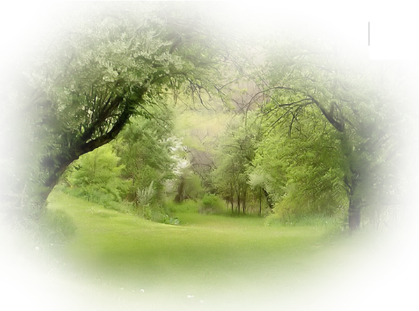 [Resim: fhI2bDX.png]