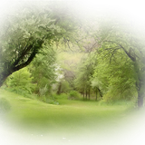 Png Doga Resimleri V100320181240 N172