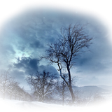 Png Doga Resimleri V100320181240 N160.png