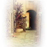 Png Doga Resimleri V100320181240 N165.png