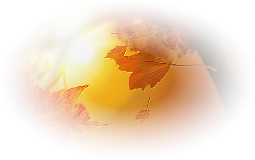 [Image: fhI2oap.png]