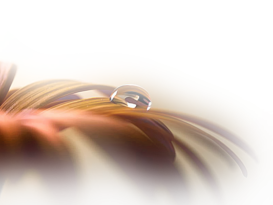 [Resim: fhI2rog.png]