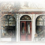 Png Doga Resimleri V100320181240 N171