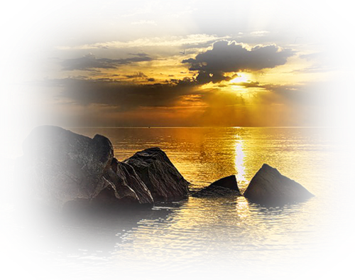 [Image: fhI2uwX.png]