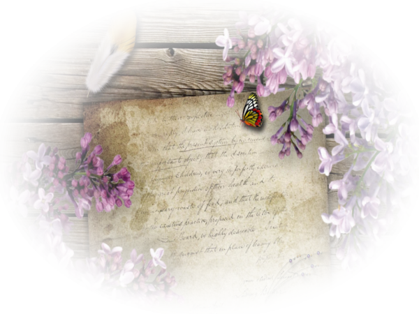 [Image: fhI3PI9.png]