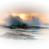 Png Doga Resimleri V100320181240 N188