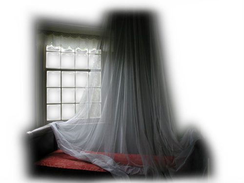 Png Doga Resimleri V100320181240 N198.png