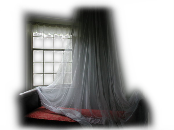 [Image: fhI3bdQ.png]