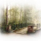 Png Doga Resimleri V100320181240 N180