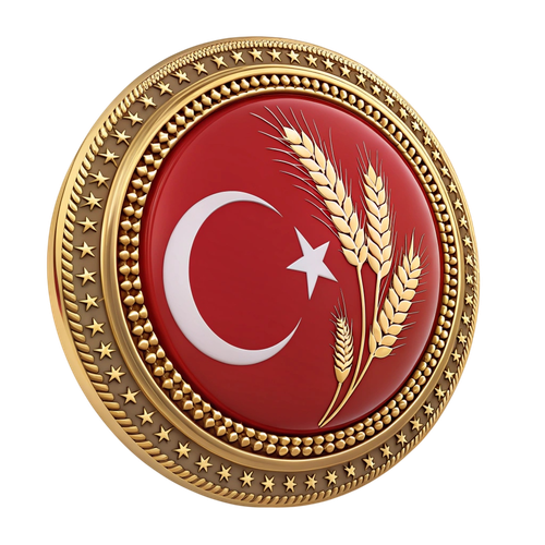 PNG Türkiye Bayrağı Resimleri V010120260536 N 31
