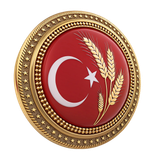 PNG Türkiye Bayrağı Resimleri V010120260536 N 31
