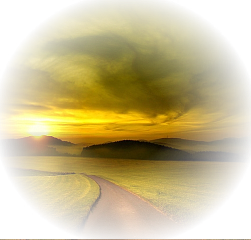 [Image: fhI91hG.png]