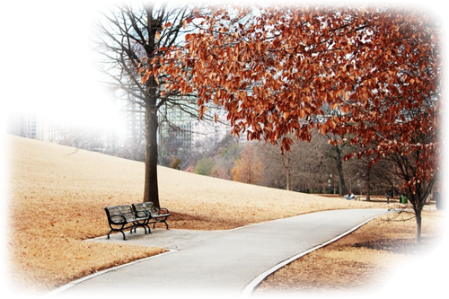 [Image: fhI96YP.png]