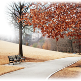 Png Doga Resimleri V100320181240 N63.png