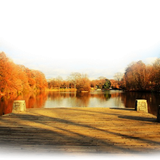 Png Doga Resimleri V100320181240 N64.png