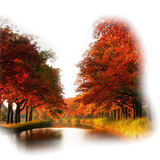 Png Doga Resimleri V100320181240 N61.png