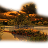 Png Doga Resimleri V100320181240 N55.png