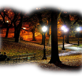 Png Doga Resimleri V100320181240 N59.png