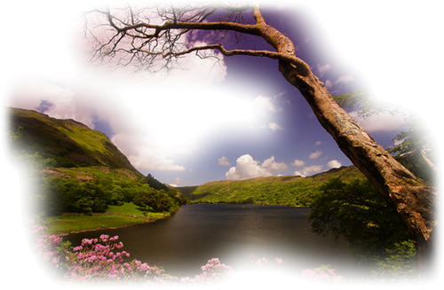 [Image: fhI9wv9.png]