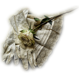 Png Doga Resimleri V100320181240 N215