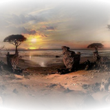 Png Doga Resimleri V100320181240 N207