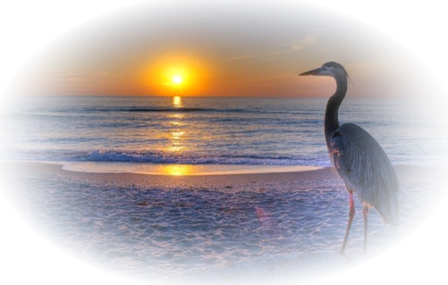 Png Doga Resimleri V100320181240 N204.png