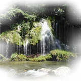 Png Doga Resimleri V100320181240 N80.png