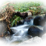 Png Doga Resimleri V100320181240 N78.png