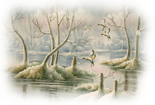 [Image: fhIHDNe.png]