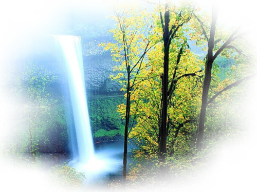 [Image: fhIHE91.png]