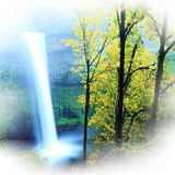 Png Doga Resimleri V100320181240 N81.png