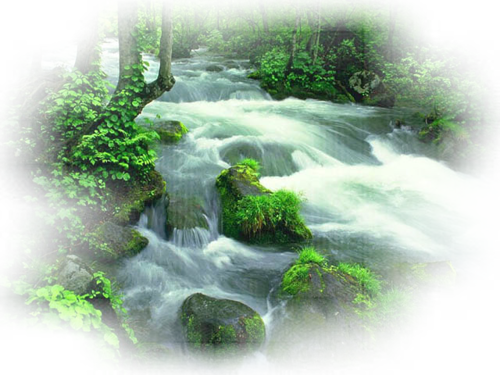 [Image: fhIHNFp.png]