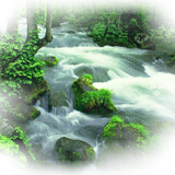 Png Doga Resimleri V100320181240 N85.png