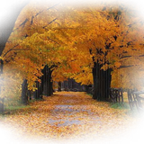 Png Doga Resimleri V100320181240 N84.png