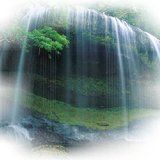 Png Doga Resimleri V100320181240 N79.png