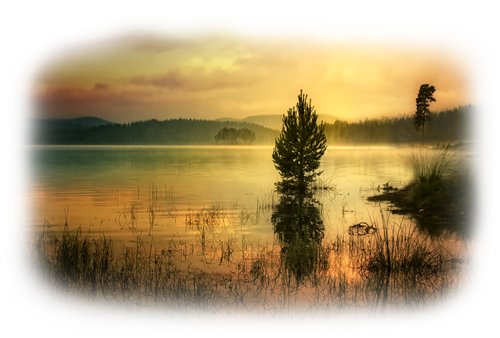 [Image: fhIHqG4.png]