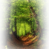 Png Doga Resimleri V100320181240 N104.png