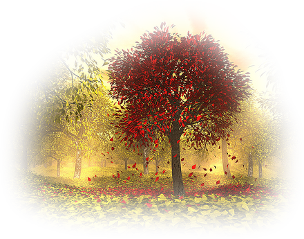 [Image: fhIJE0l.png]