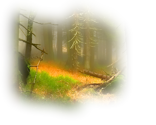 [Image: fhIJGg2.png]