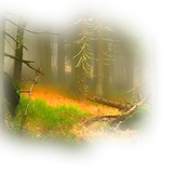 Png Doga Resimleri V100320181240 N108.png